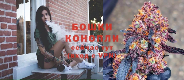 шишки Верхний Тагил