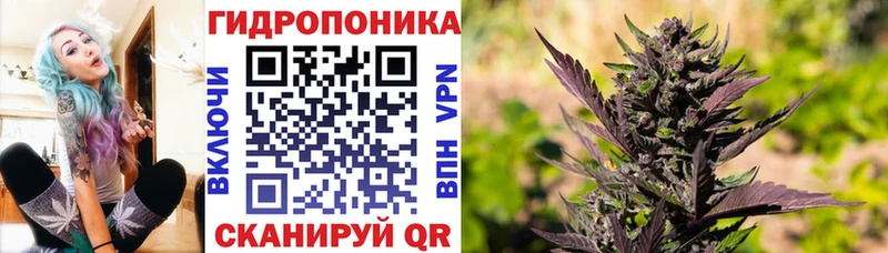 Конопля THC 21%  Купить где  Томилино 